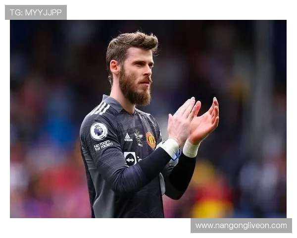 热那亚俱乐部历史辉煌与现代复兴之路：意大利足球的传奇与挑战